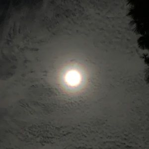 Meet your Posher, Yunhee